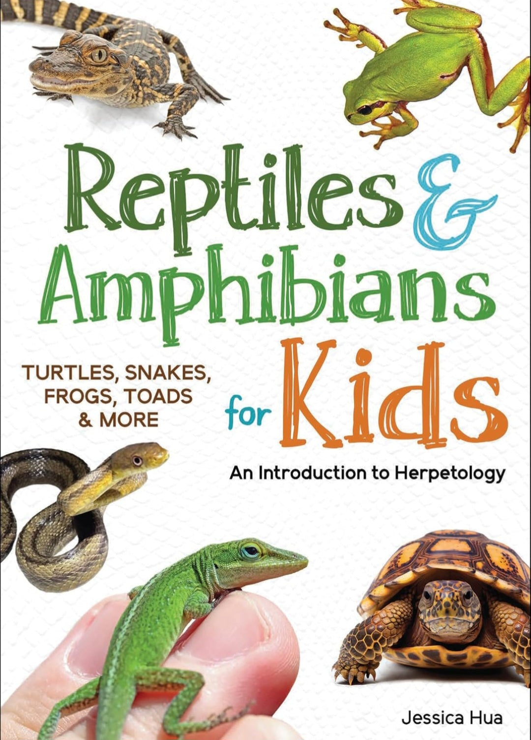 Reptiles & Amphibians Book Bundle