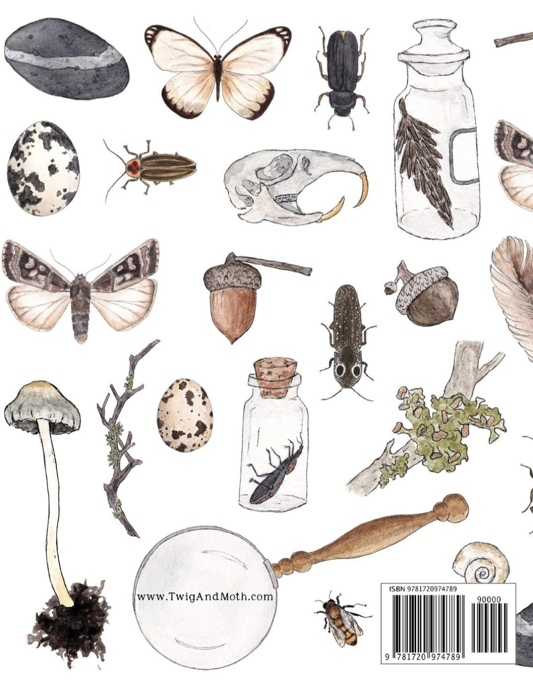 Guided Nature Journal