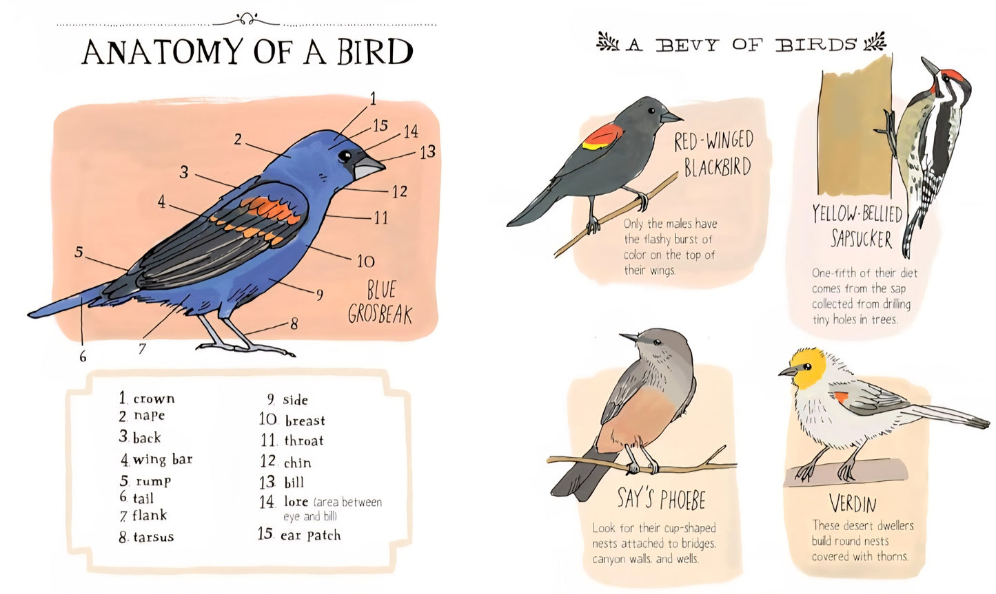 Nature Anatomy: The Curious Parts & Pieces Of The Natural World