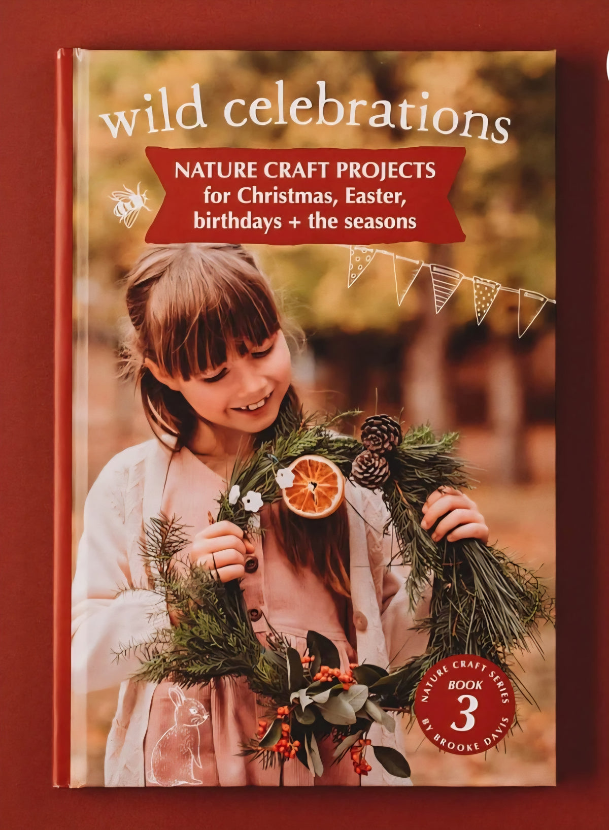 Wild Celebrations| Nature Craft Projects for Christmas, Easter, Birthdays & the Seasons