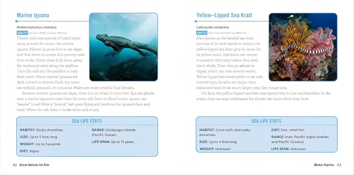 Ocean Life Book Bundle