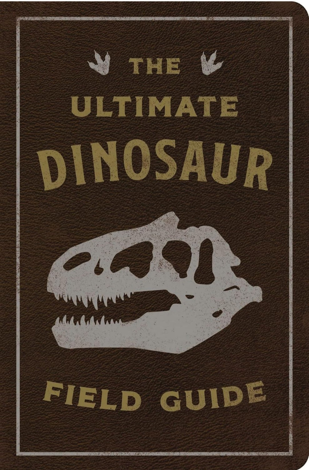 Dinosaur Study Kit