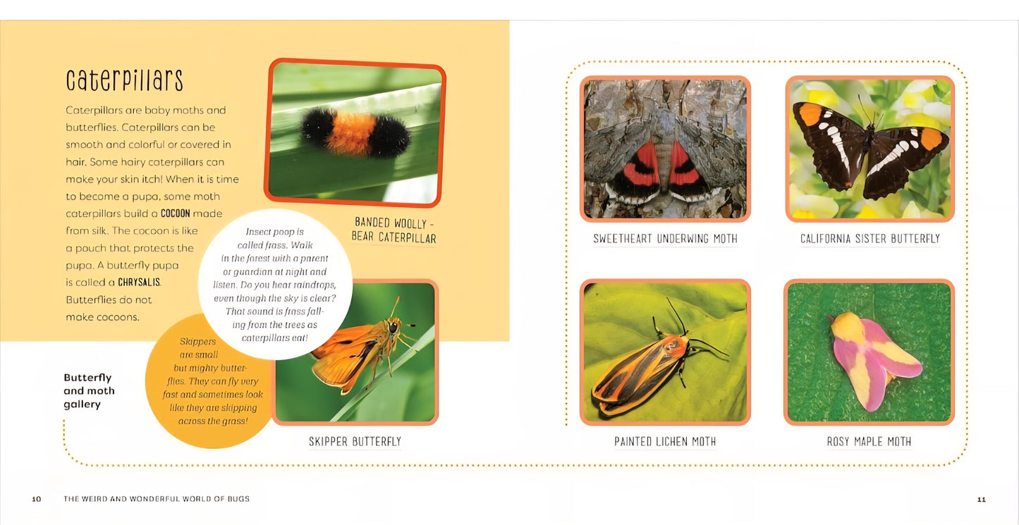 Insects and Bugs Book Bundle