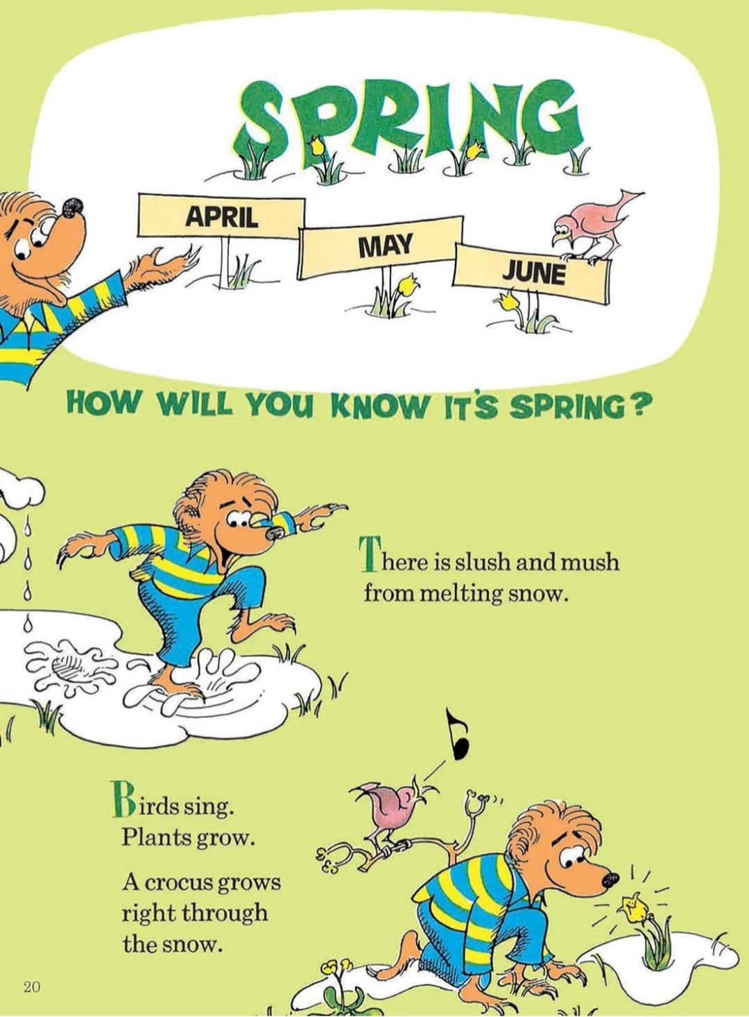 The Berenstain Bears' Big Book of Science & Nature