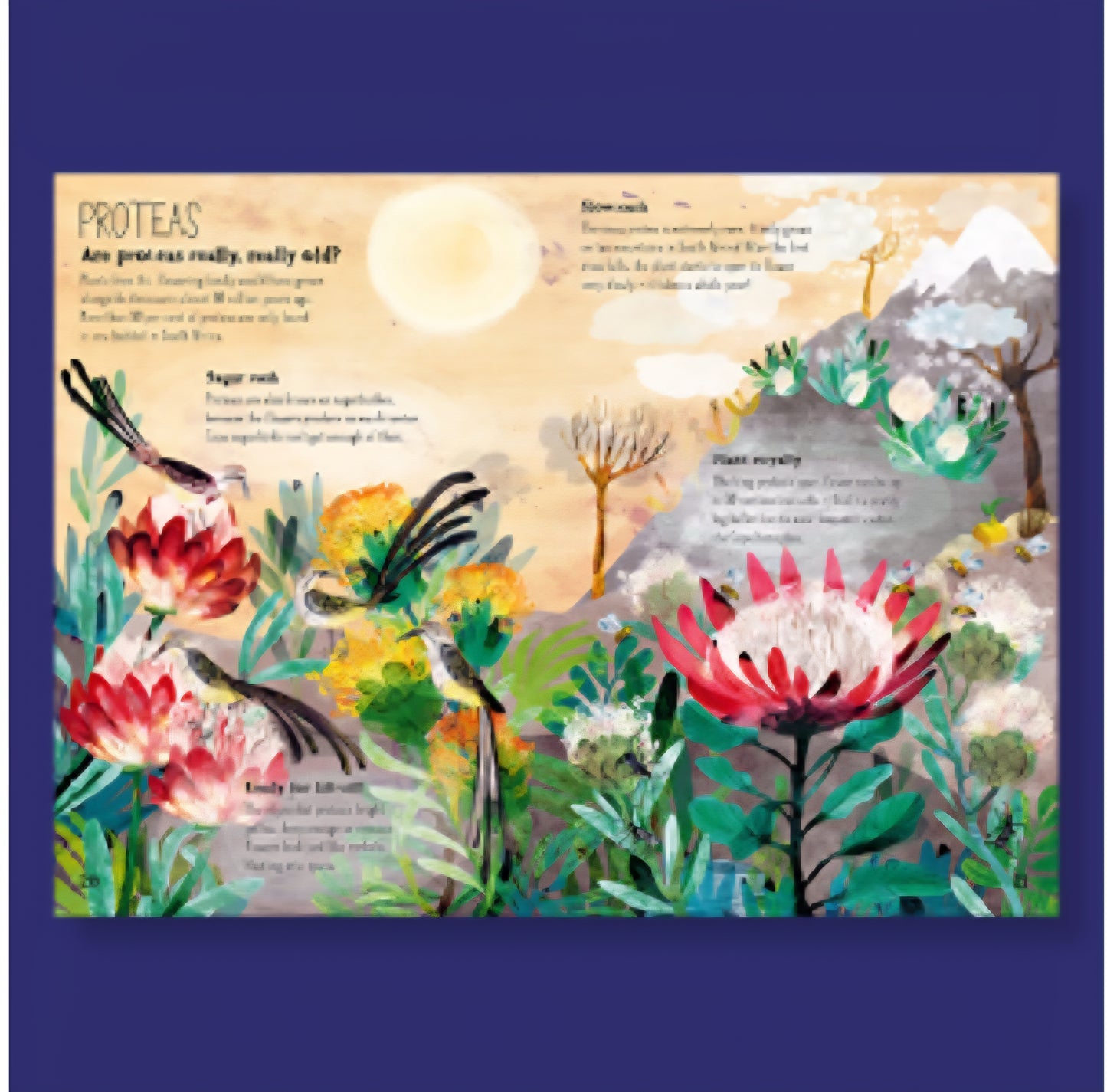 The Big Book Of Blooms