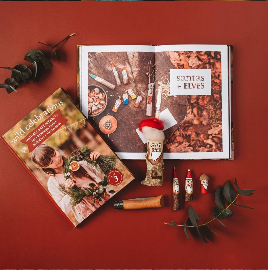 Wild Celebrations| Nature Craft Projects for Christmas, Easter, Birthdays & the Seasons