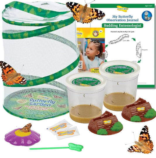 Insect Lore Caterpillar Habitat With LIVE Caterpillars Project