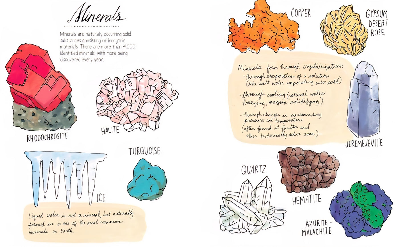 Nature Anatomy: The Curious Parts & Pieces Of The Natural World