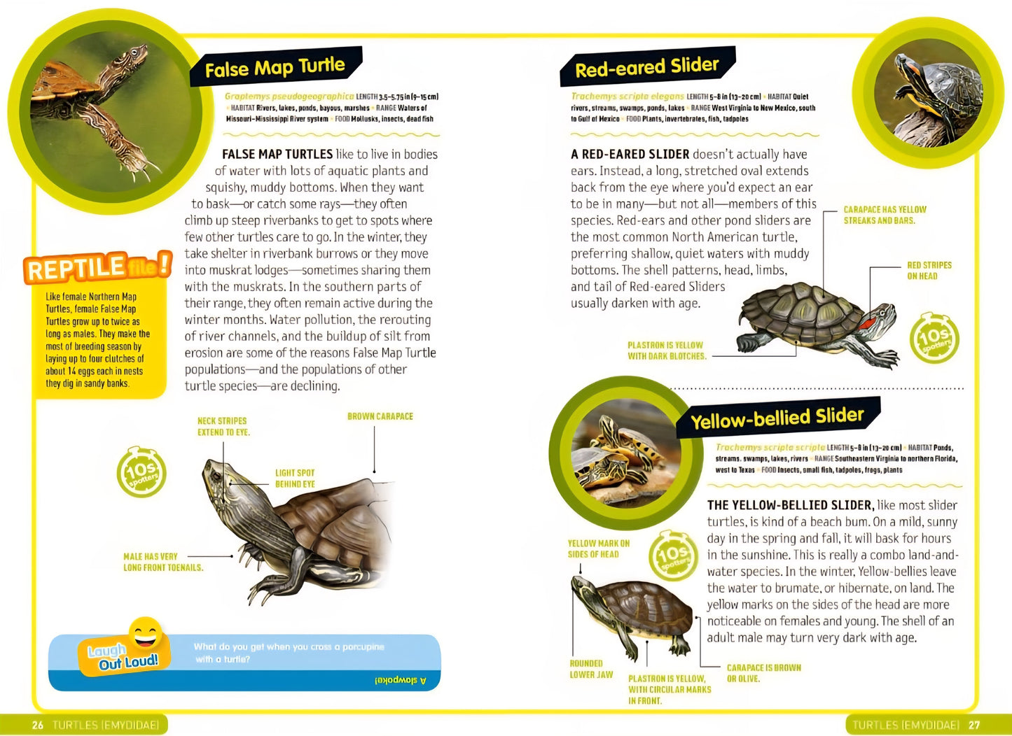 Reptiles & Amphibians Book Bundle