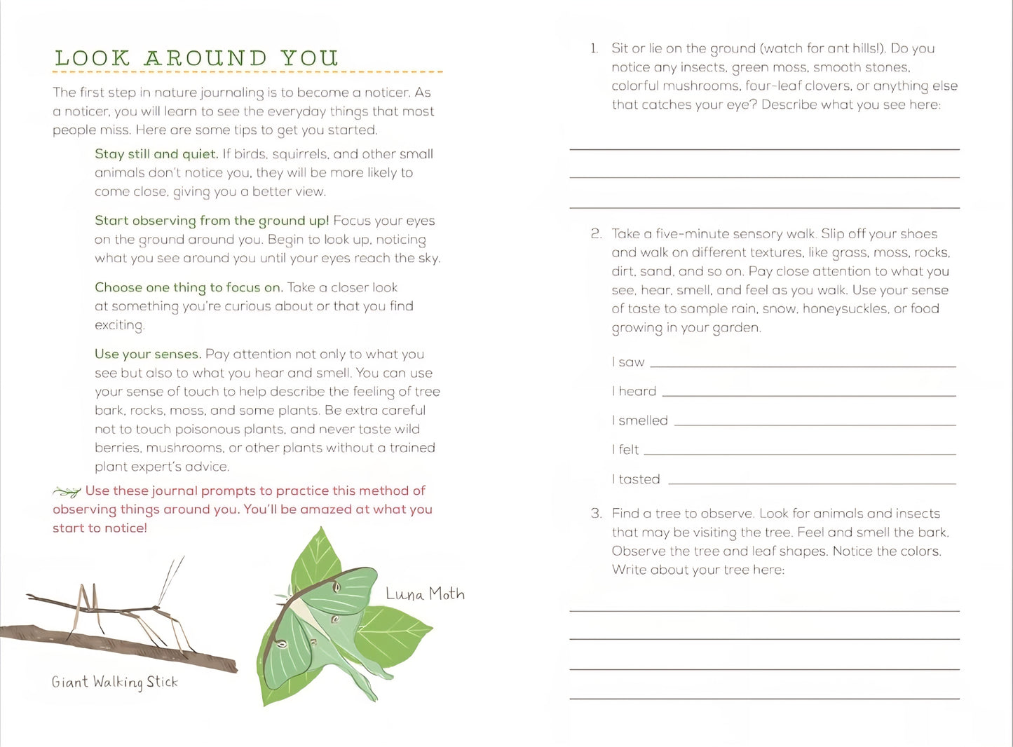 Exploring Nature Guided Nature Journal