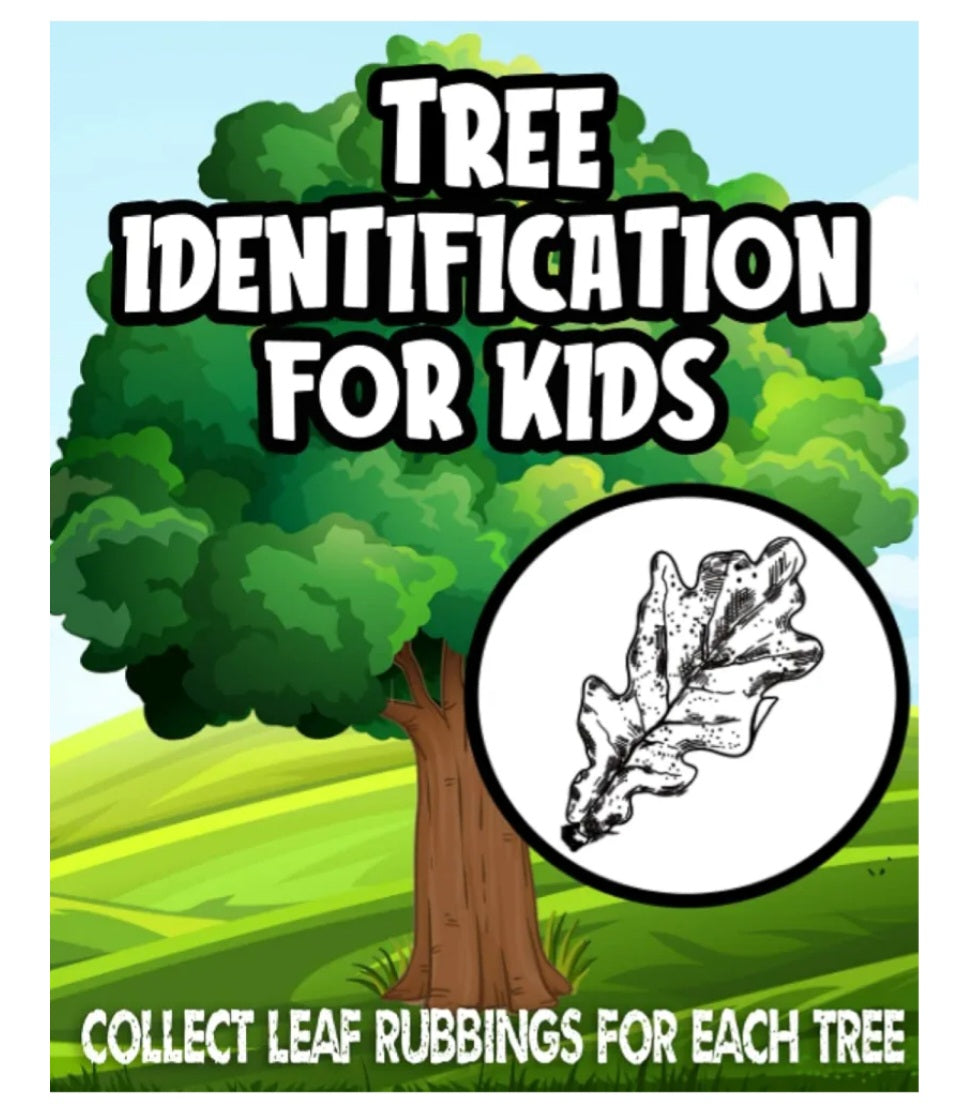 Tree Identification Kit