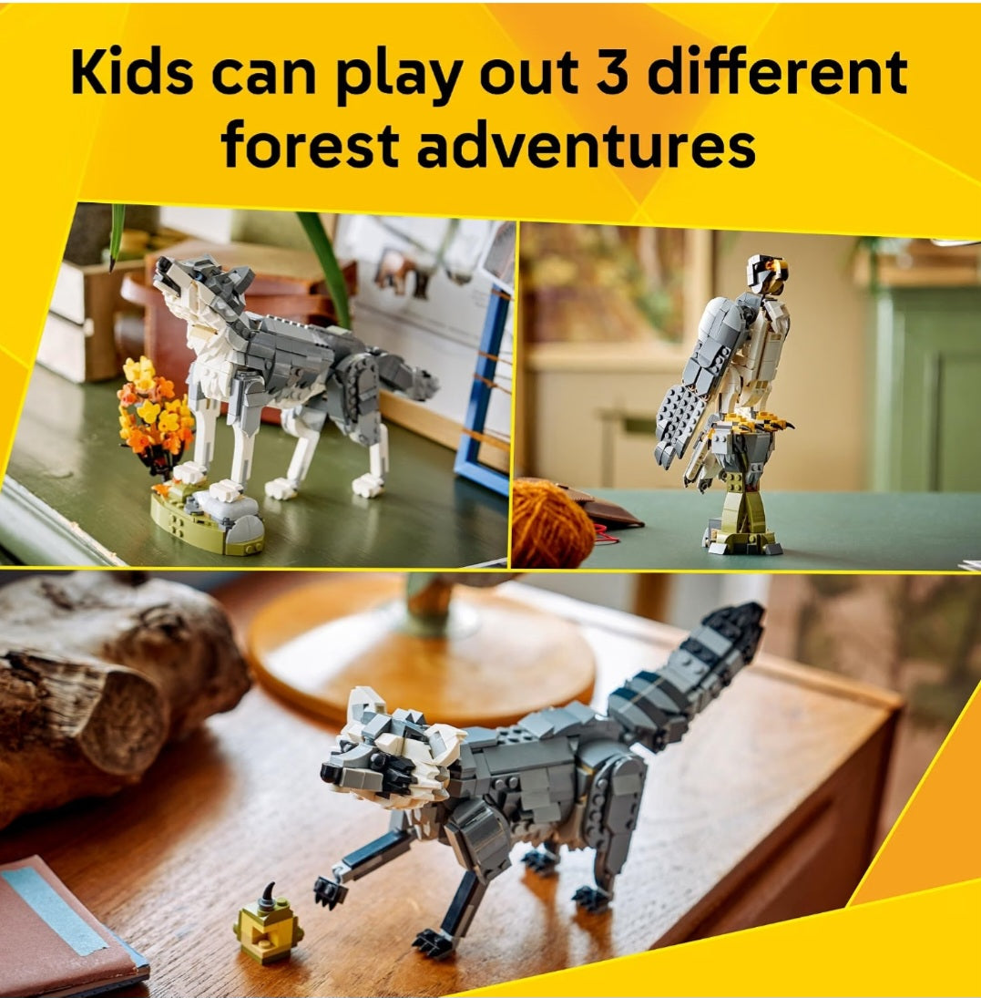 Wild Animals 3 in 1 Build and Learn Kit|Gray Wolf, Falcon, Raccoon
