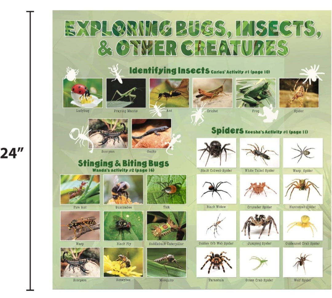 Bugs & Insects Science Kit|  Hands-On Nature & STEM (Magic School Bus Rides Again)