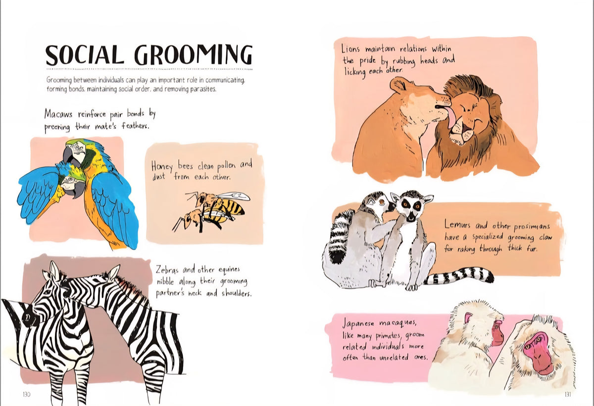 Wildlife Anatomy: The Curious Lives & Features of Wild Animals around the World