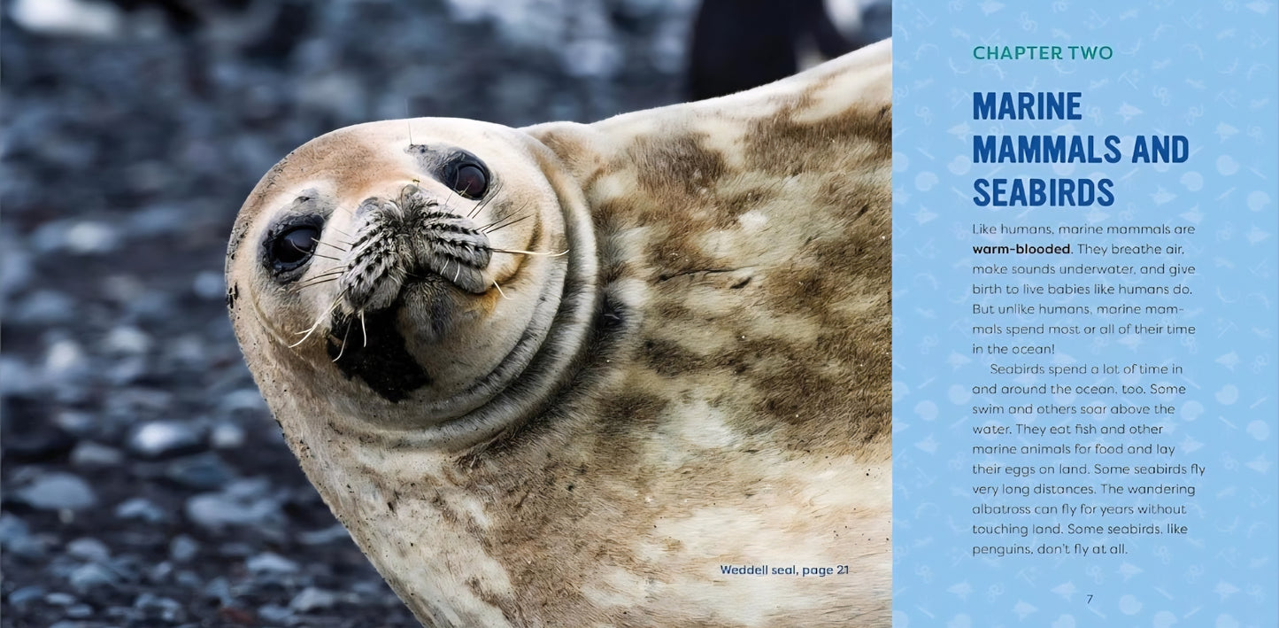 Ocean Life Book Bundle