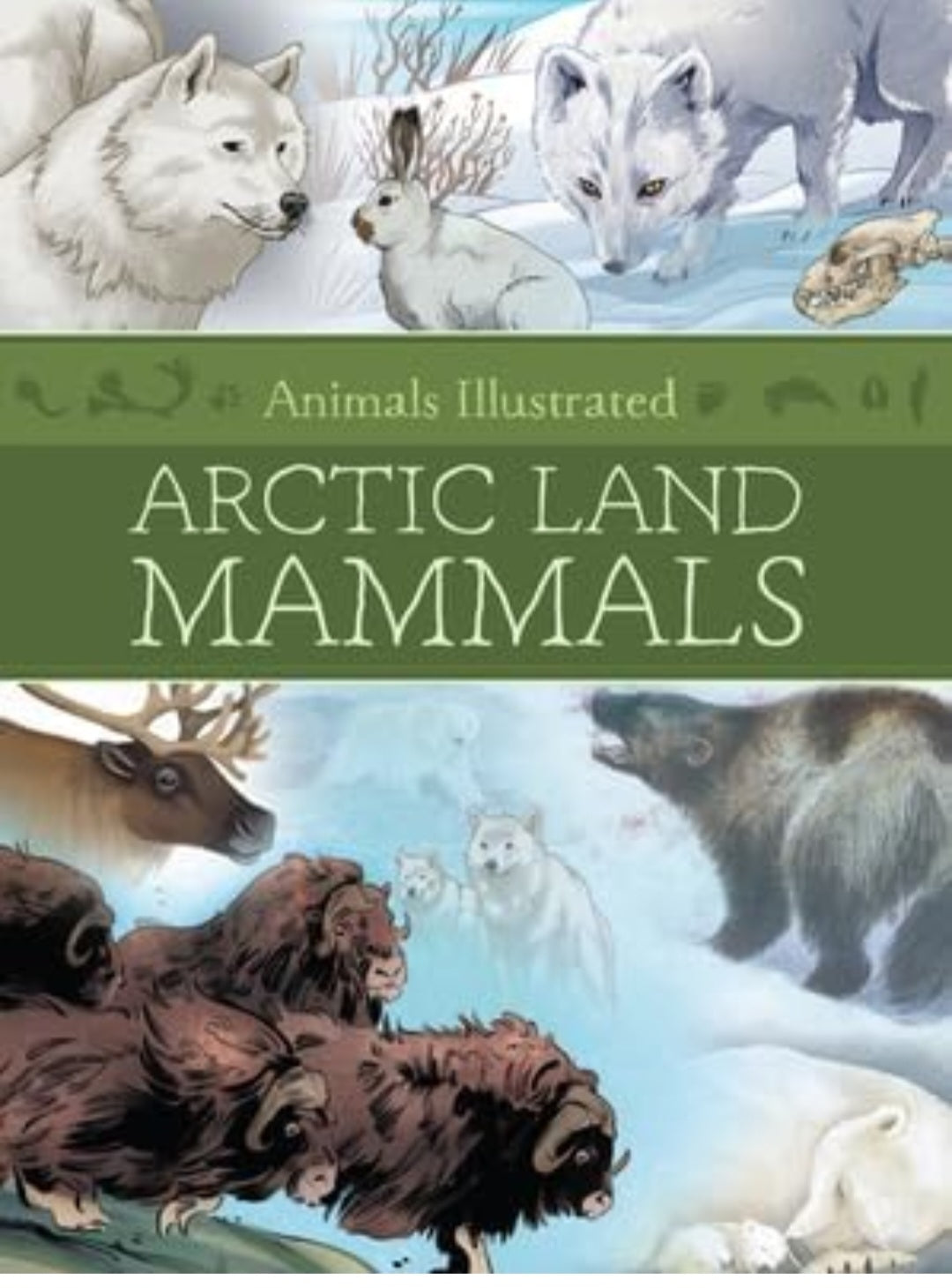 Polar Animals & Adaptations Study Kit