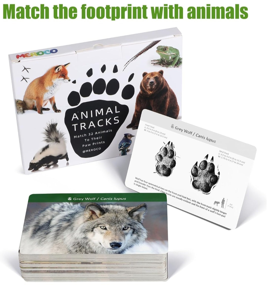 Animal Tracks Study Kit