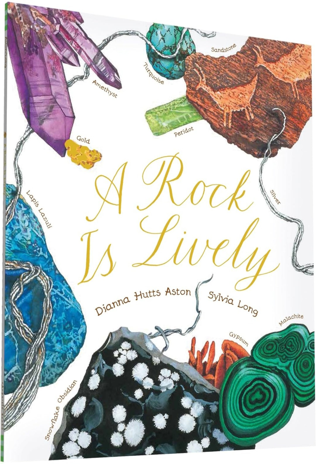 Nature’s Wonders Book Collection | 7 Illustrated Books on Seeds, Insects, Birds, Rocks & Natural Life Cycles