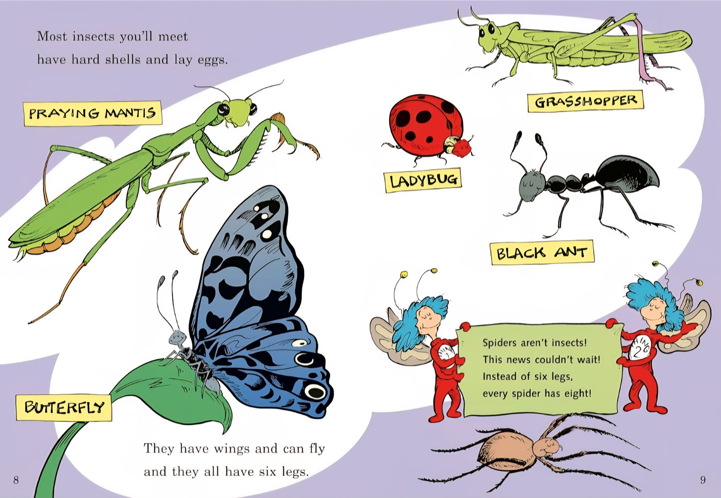 Insects and Bugs Book Bundle