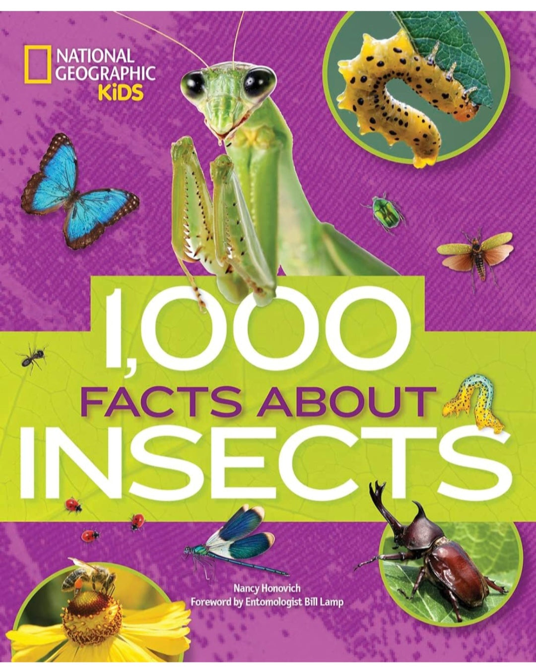 Insects and Bugs Book Bundle