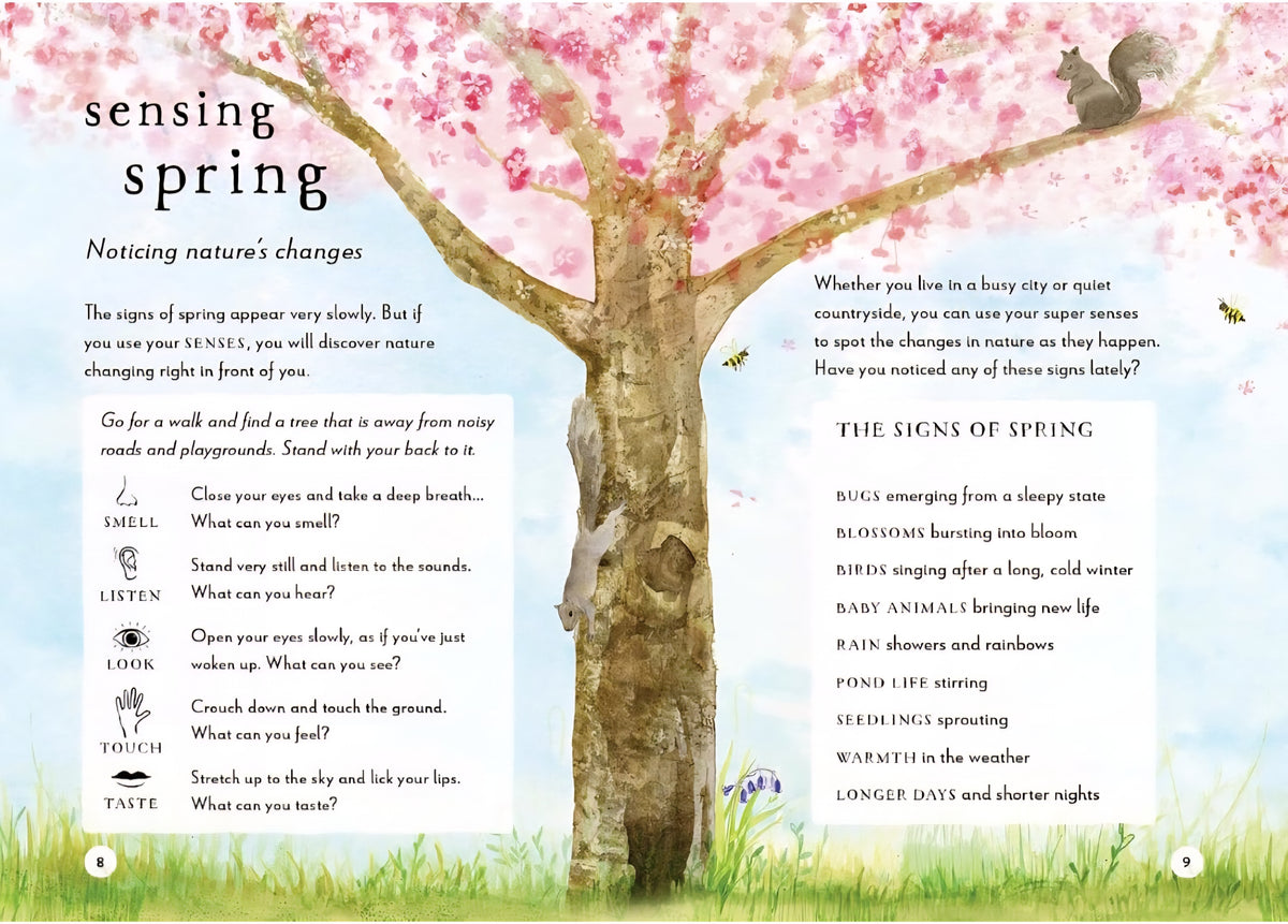 A Field Guide to the Seasons Book Bundle | 4 Hardcover Nature Study Books | Spring, Summer, Autumn & Winter