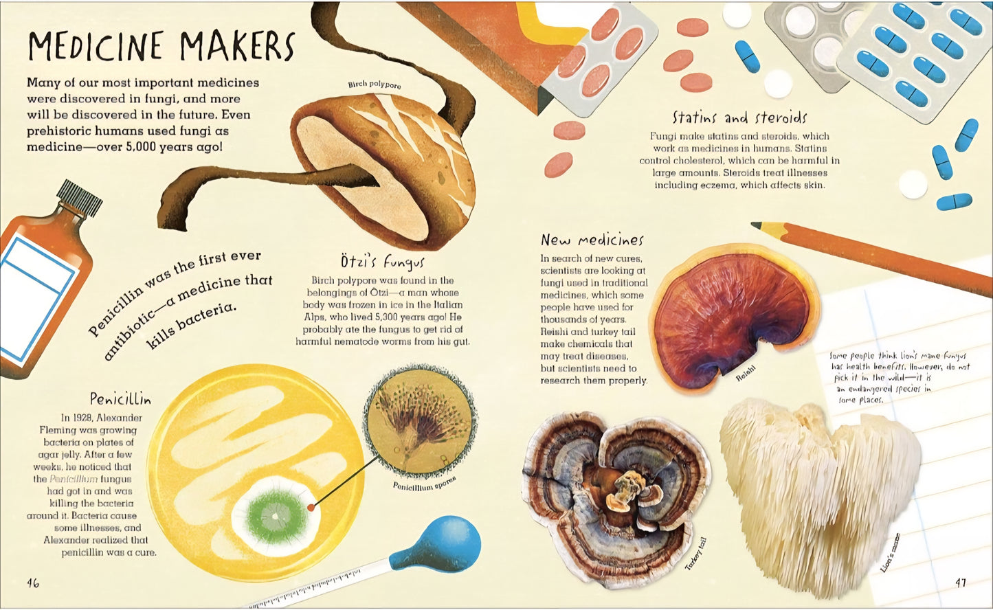 Mushrooms & Fungi Book Bundle