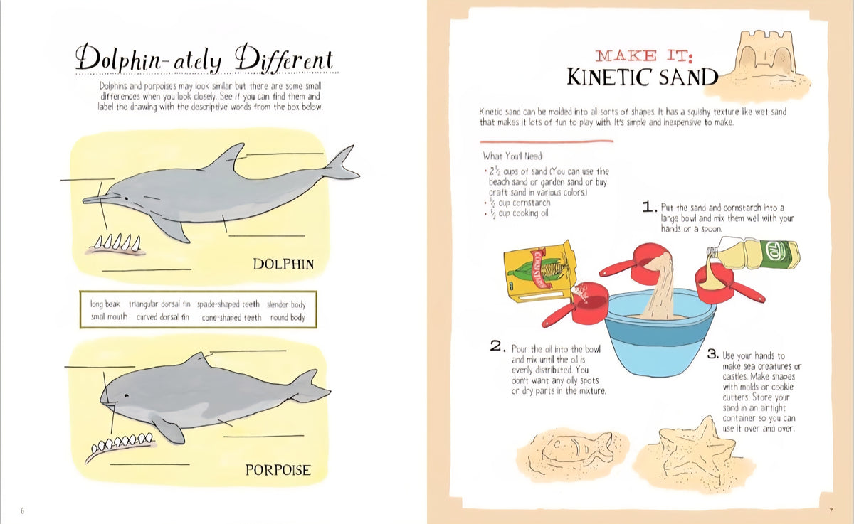 Julia Rothman's Ocean Anatomy Activity Book: Match-Ups, Word Puzzles, Quizzes, Mazes, Projects, Secret Codes + Lots More