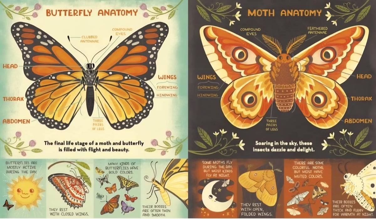 What's Inside? Nature & Life Cycles Book Bundle | 3 Illustrated Science Books by Rachel Ignotofsky|Paperback or Hardcover