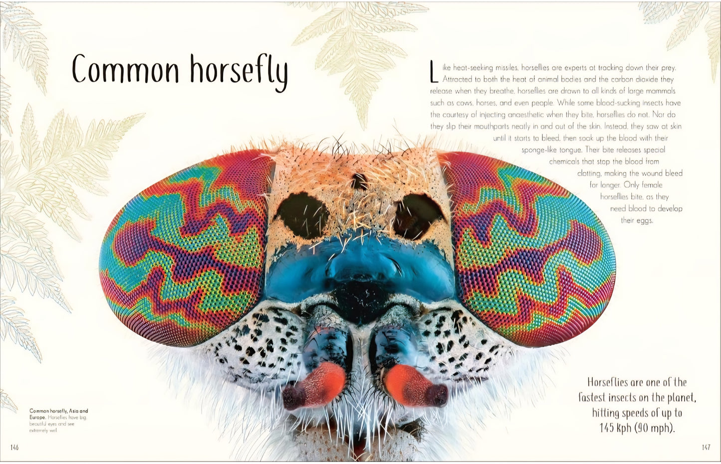 Insects and Bugs Book Bundle
