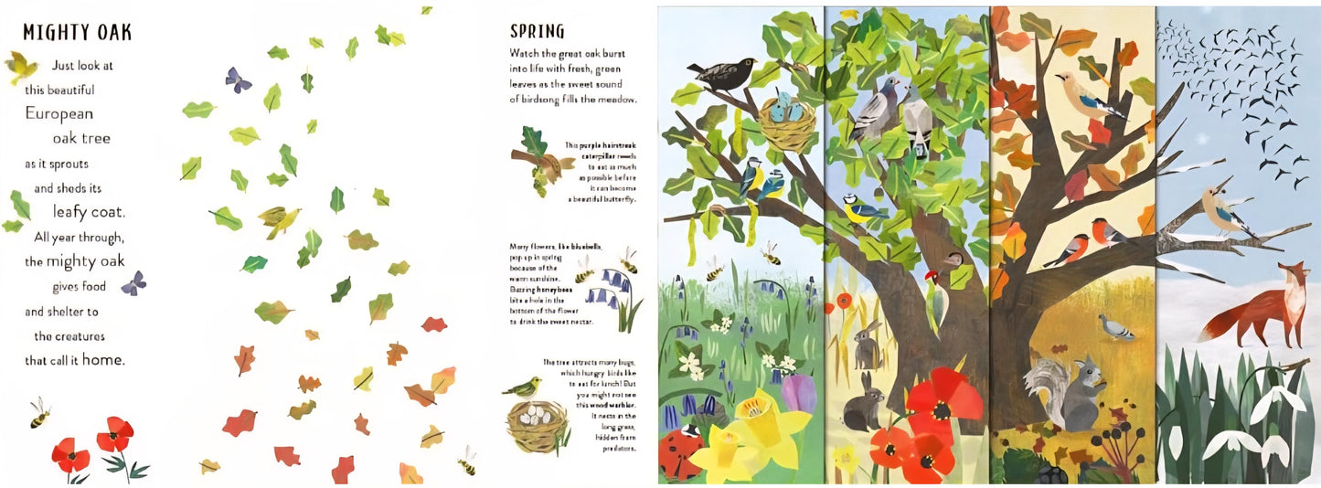 Weather & Seasons Book Bundle