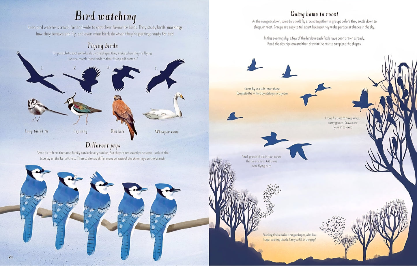 Write In Nature Activity Book