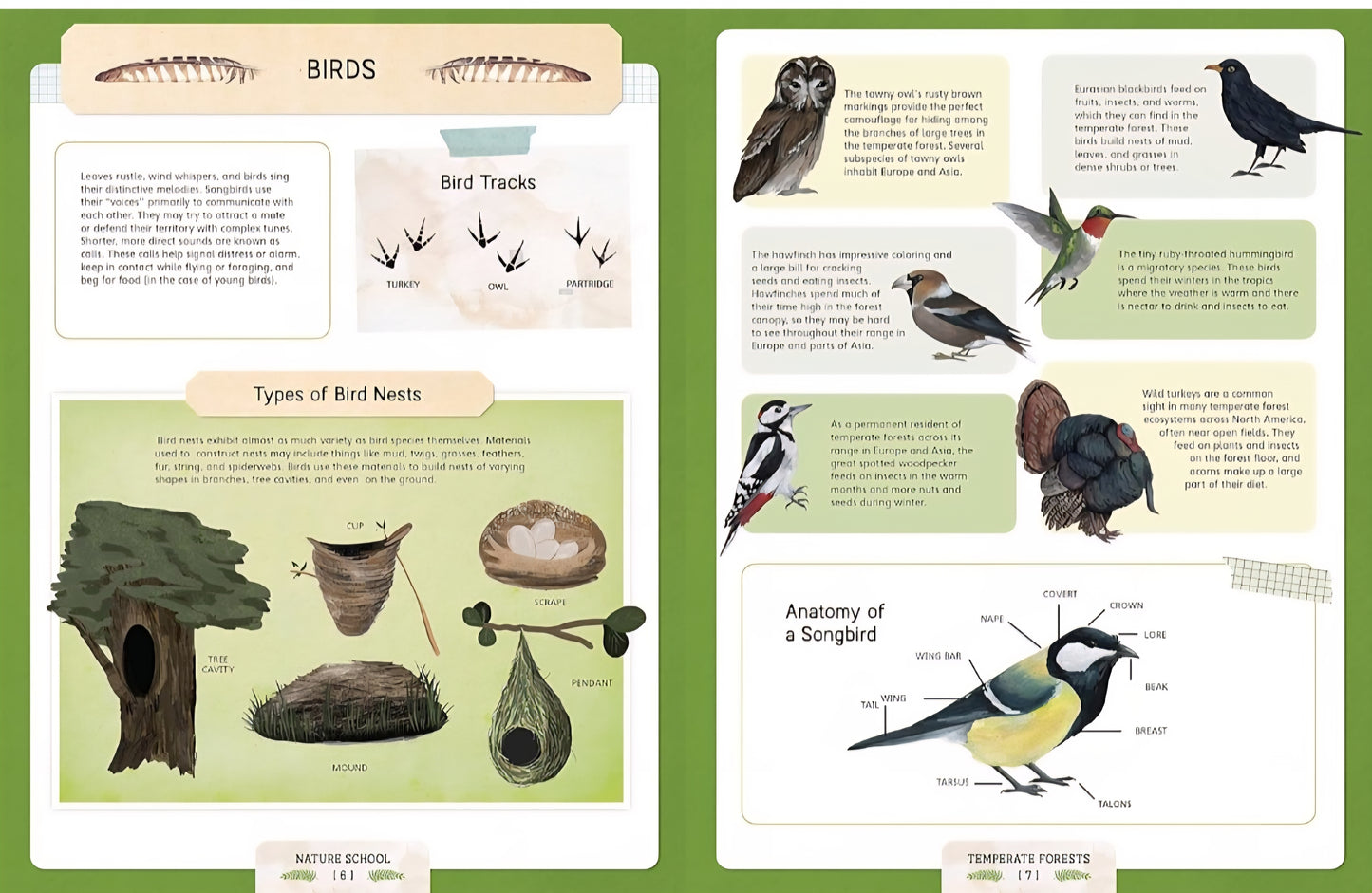 Nature School