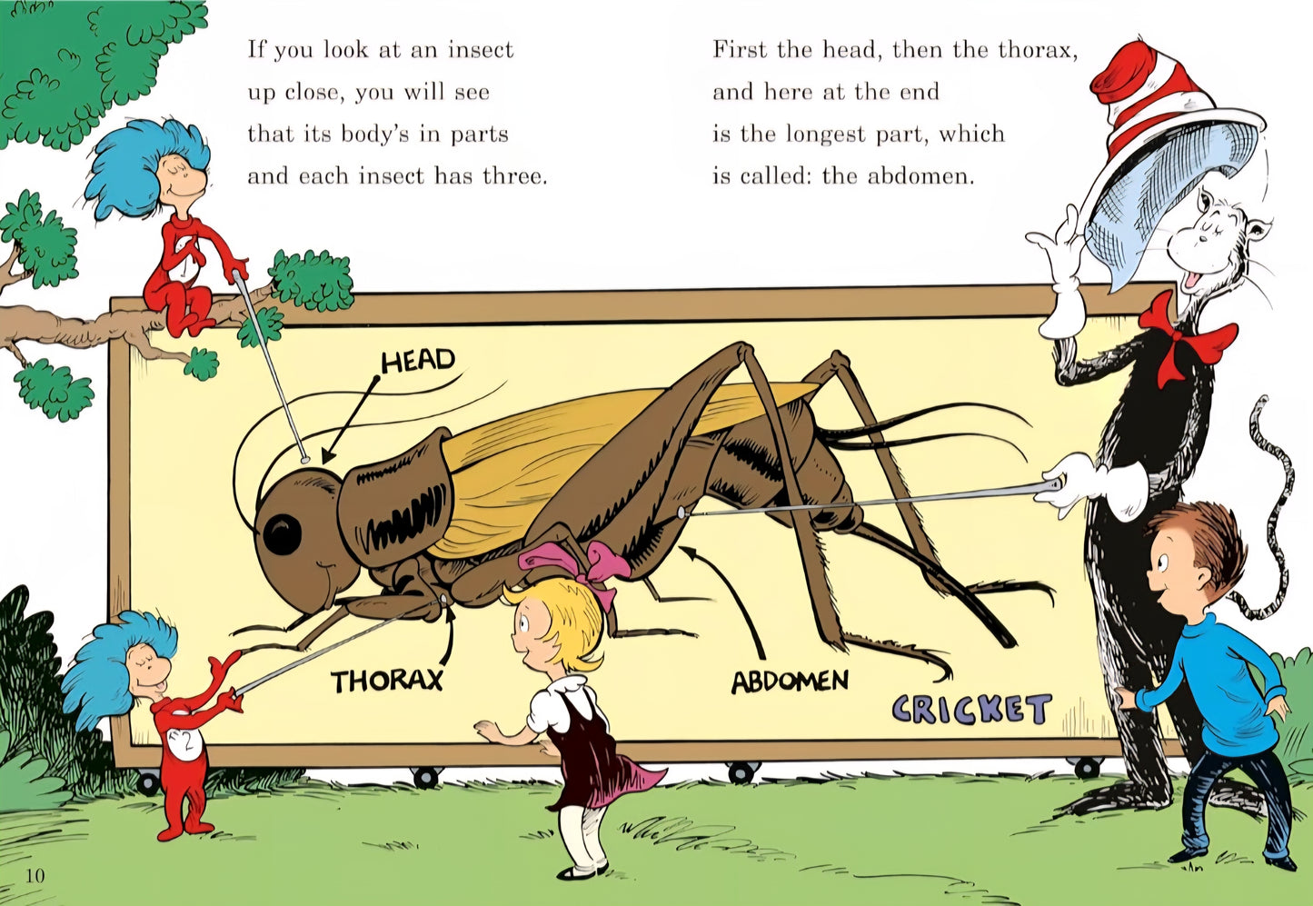Insects and Bugs Book Bundle