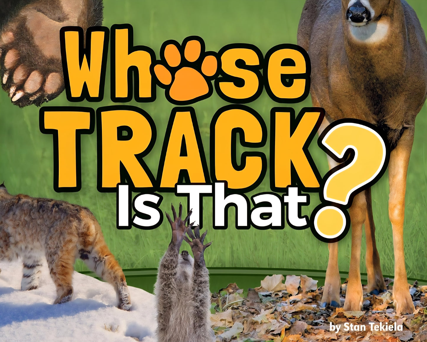 Animal Tracks Study Kit