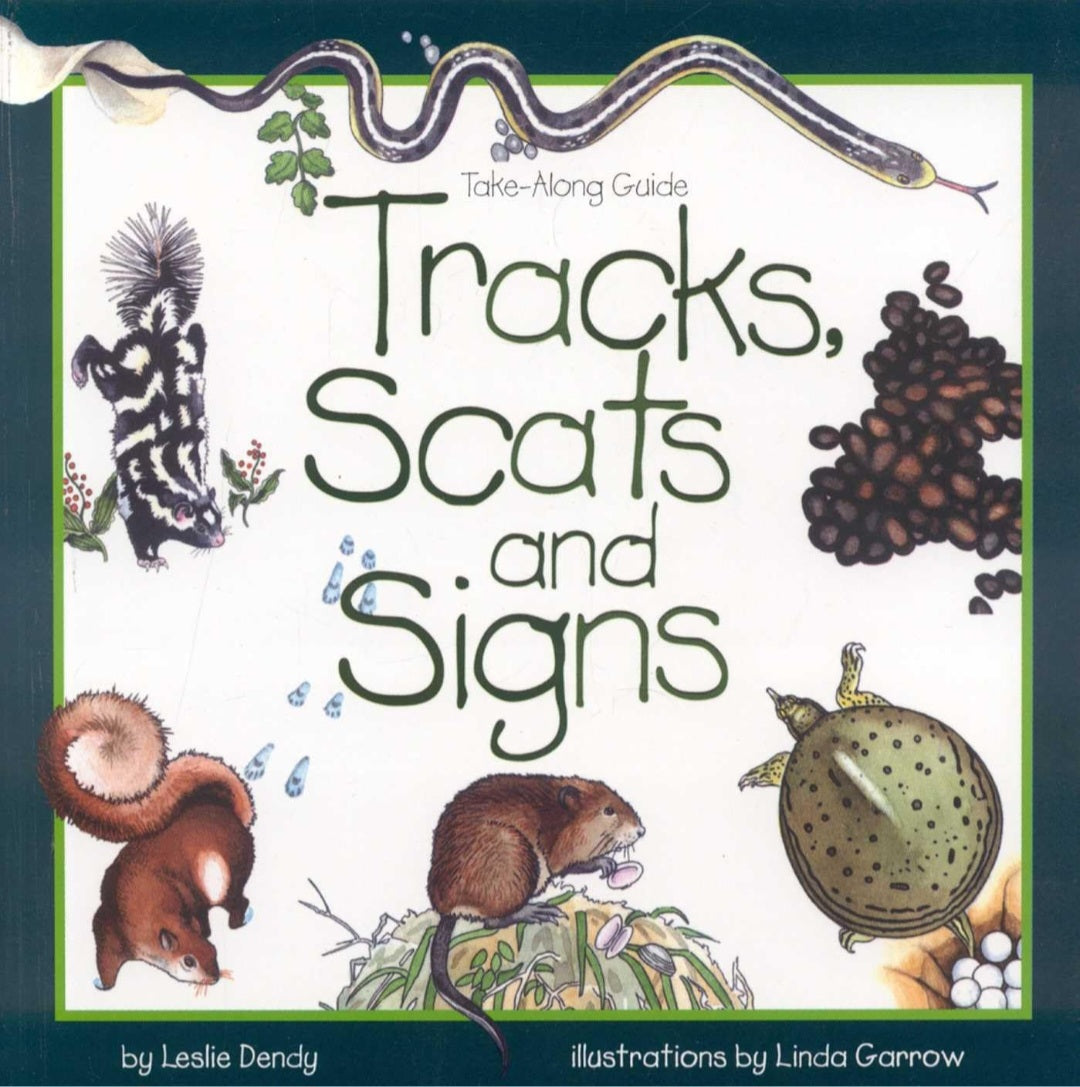 Animal Tracks Study Kit
