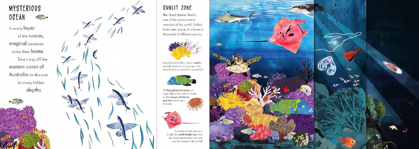Animal Habitats Book Bundle