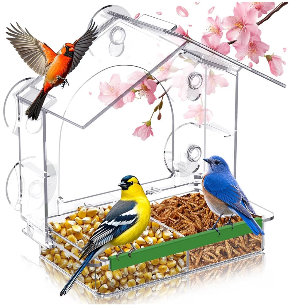Backyard Bird Study Kit