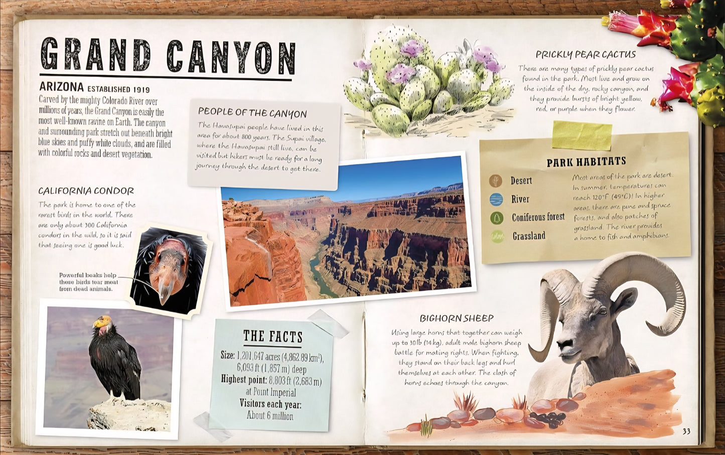 National Parks Book Bundle