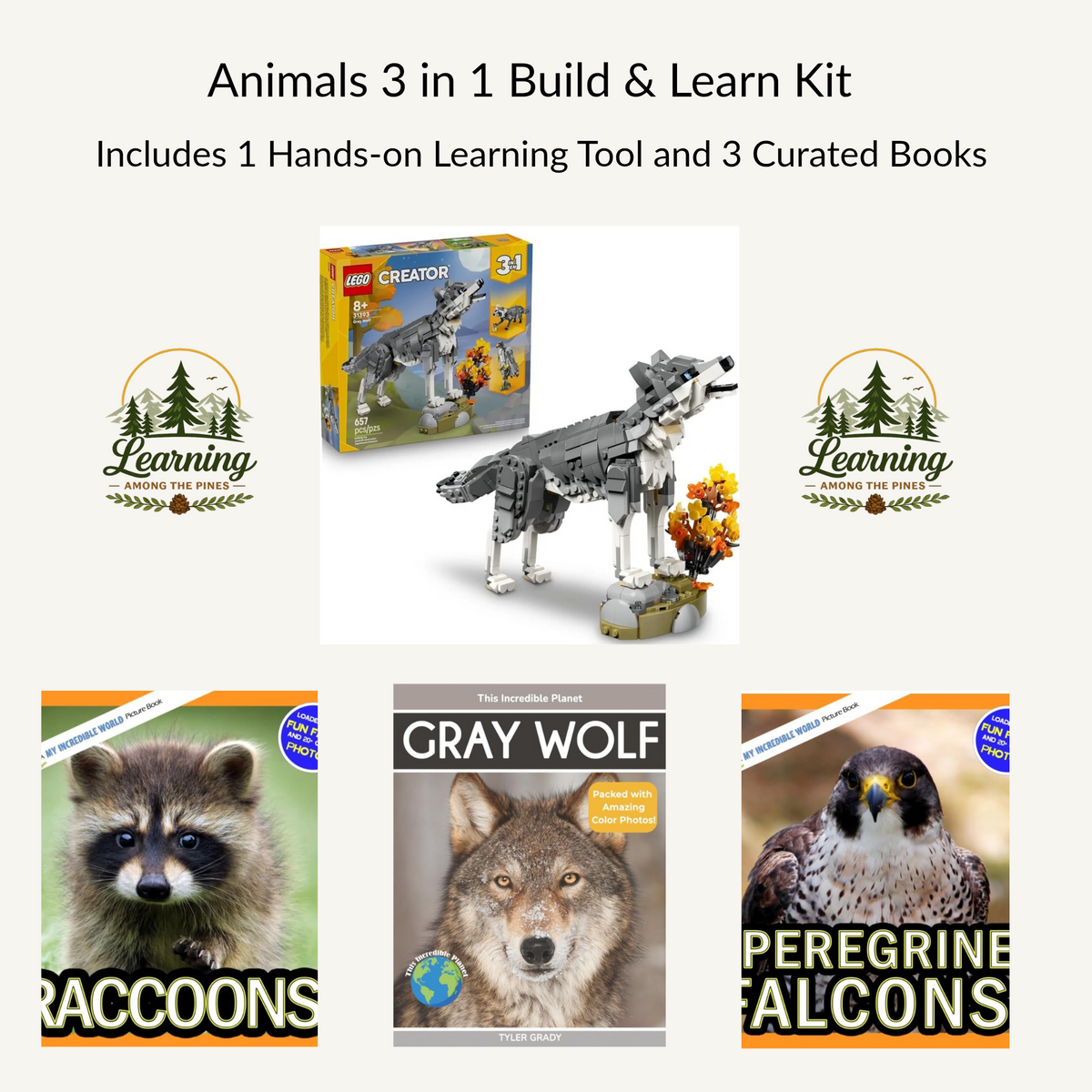Wild Animals 3 in 1 Build and Learn Kit|Gray Wolf, Falcon, Raccoon