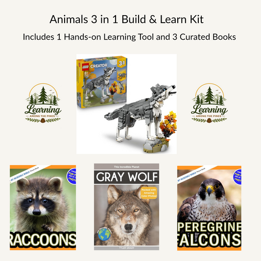 Wild Animals 3 in 1 Build and Learn Kit|Gray Wolf, Falcon, Raccoon