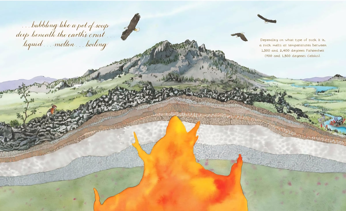 Nature’s Wonders Book Collection | 7 Illustrated Books on Seeds, Insects, Birds, Rocks & Natural Life Cycles