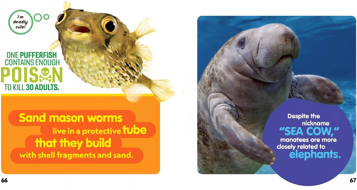 Ocean Life Book Bundle