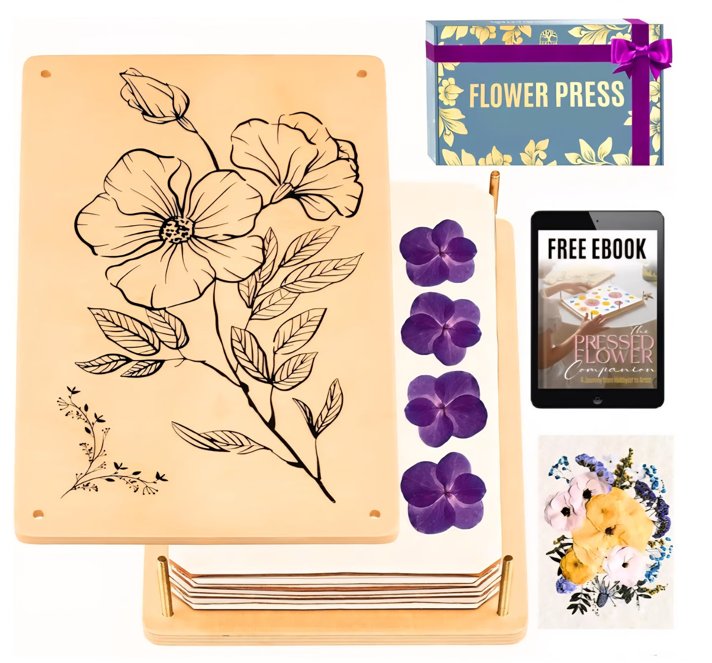 Wildflower Study Kit