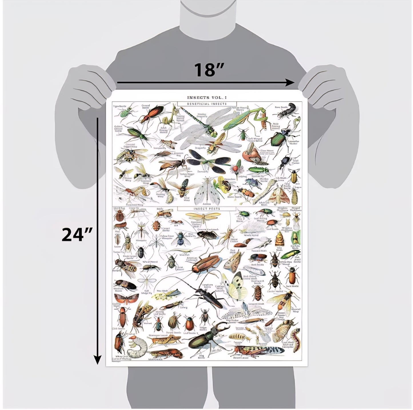 Bug Explorer Kit