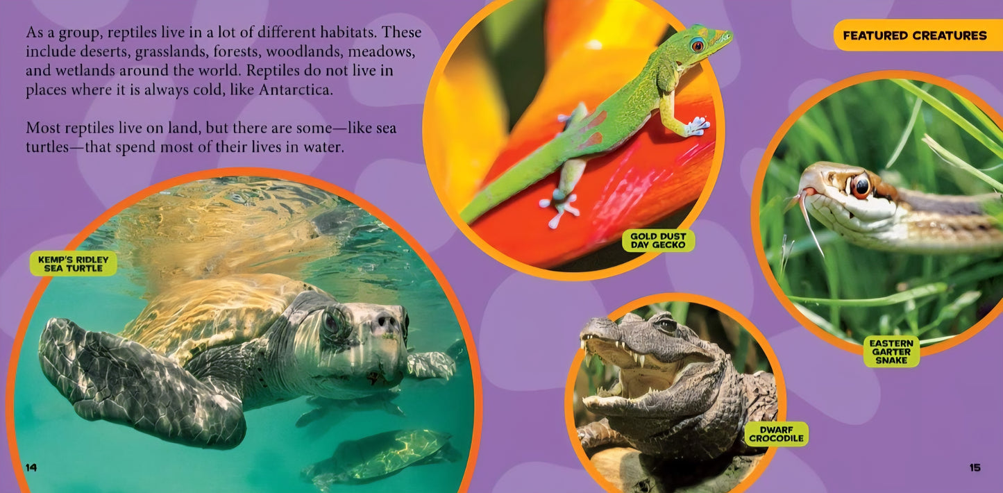 Reptiles & Amphibians Book Bundle