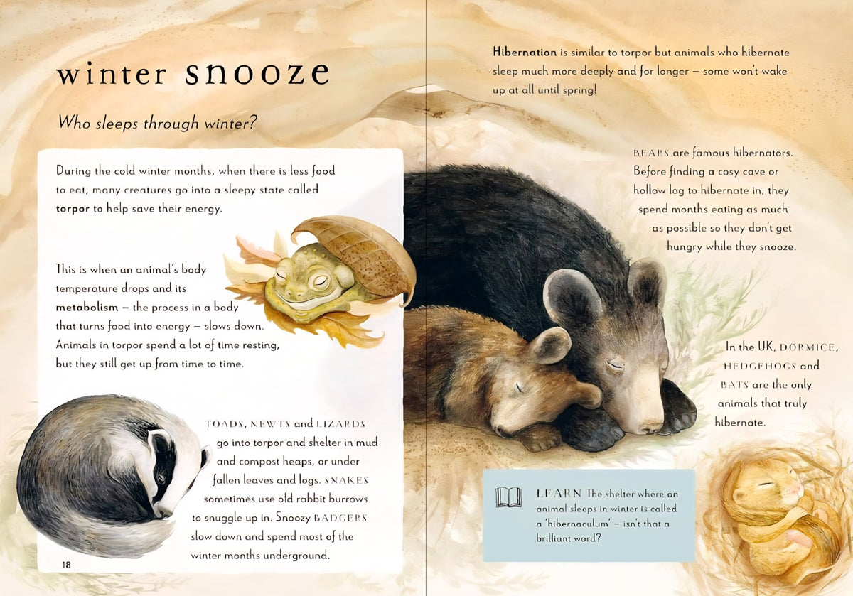 A Field Guide to the Seasons Book Bundle | 4 Hardcover Nature Study Books | Spring, Summer, Autumn & Winter