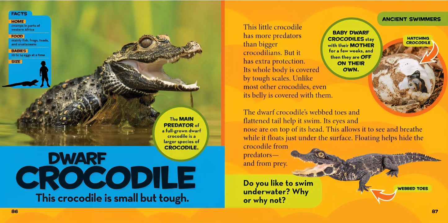 Reptiles & Amphibians Book Bundle