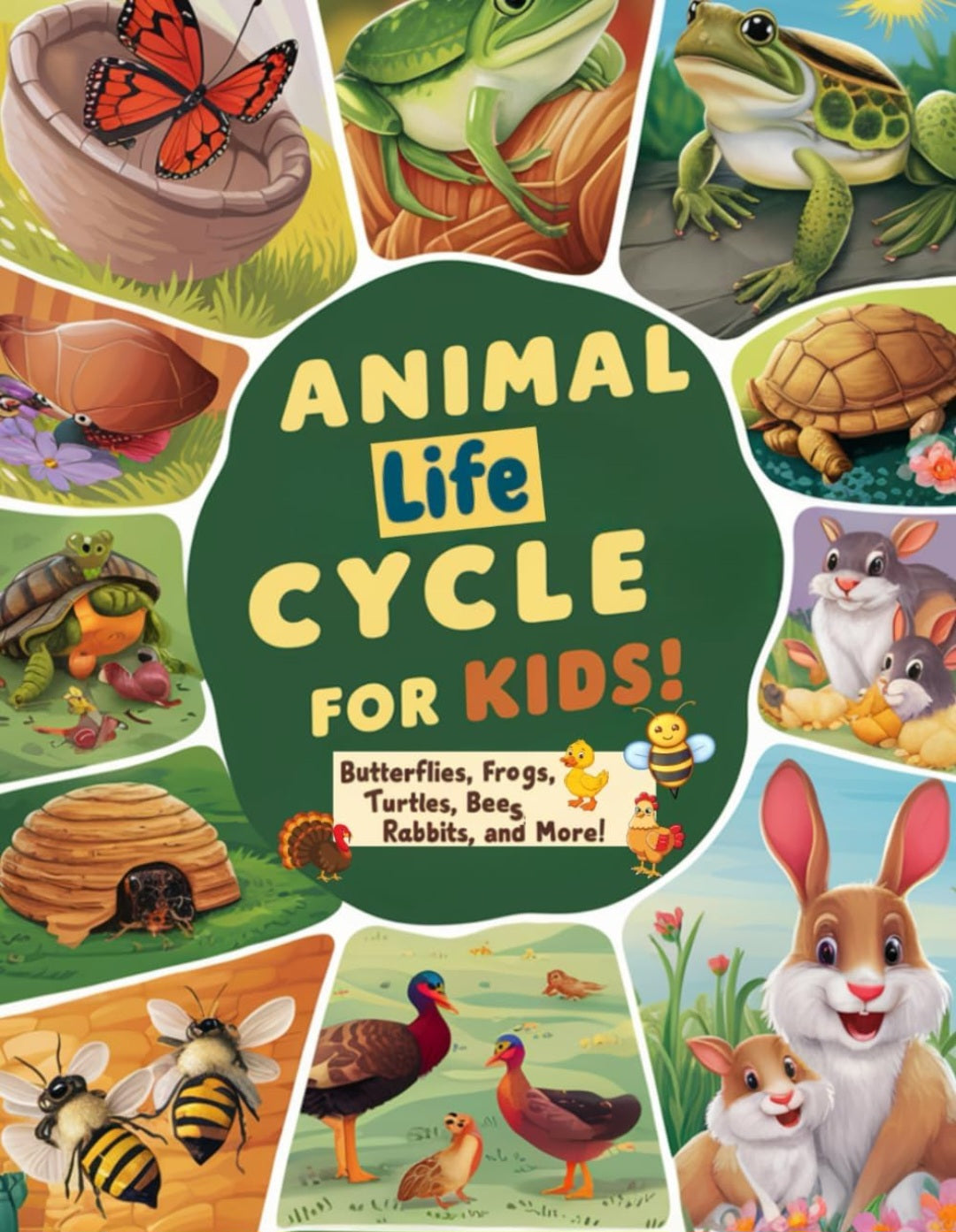 Life Cycles Book Bundle