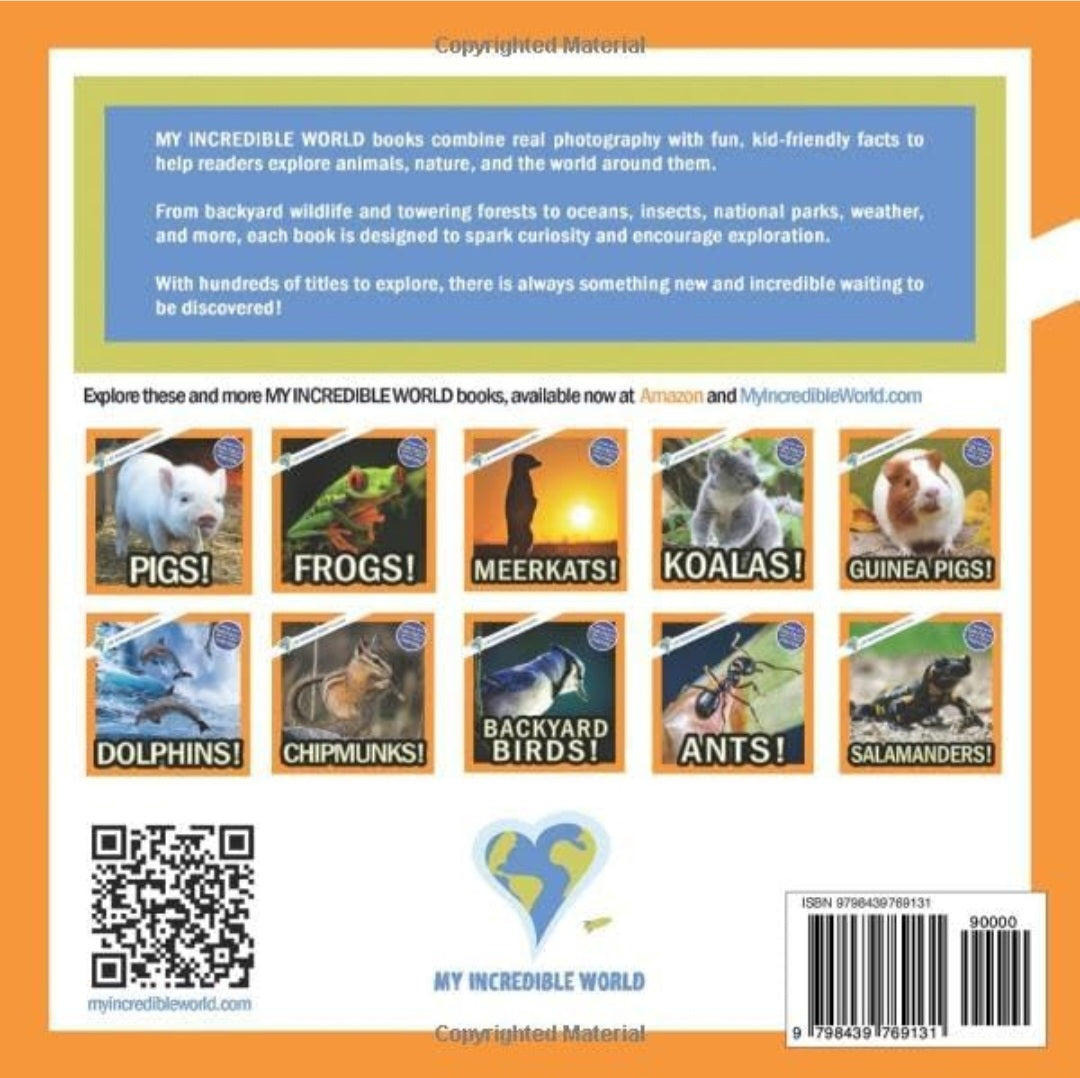 Animals 3-in-1 Build & Learn Kit | LEGO® + Animal Books (Frogs, Snails & Turtles)