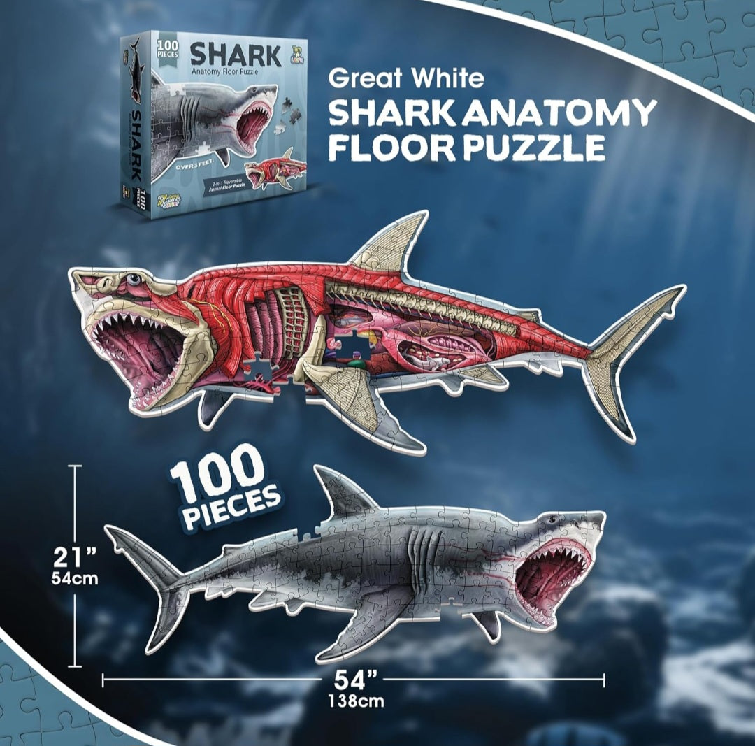 Shark Anatomy Floor Puzzle – 100-Piece Double-Sided Life-Size Shark Puzzle